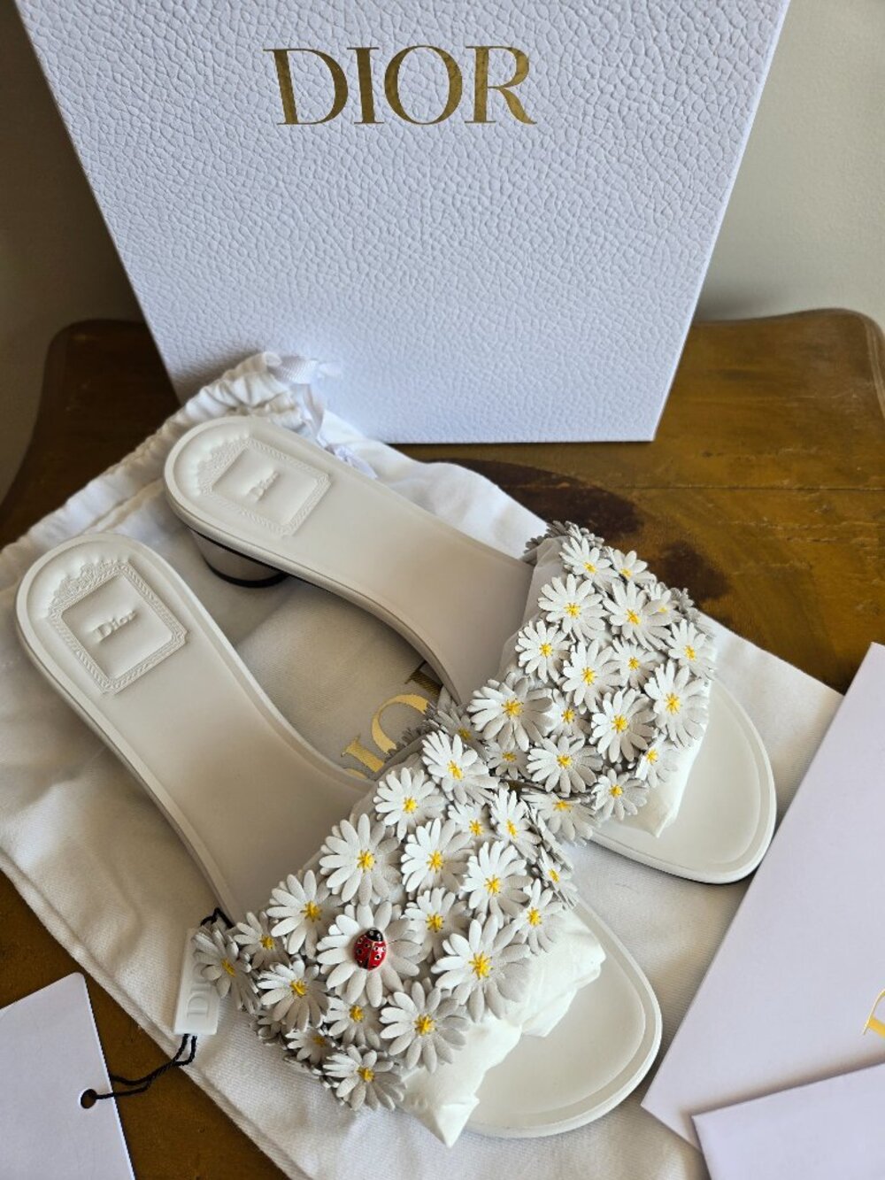 Dior Jonathan Anderson 2026 Bloom Heeled Slide White Daisy Embroidered 39